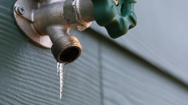 Best Water Leak Repair  in Auburn, KS
